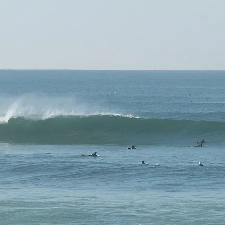 Zambeachouse - Paradise